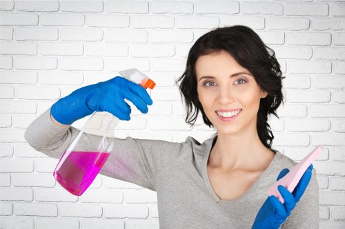 Professional cleaners N16 following safety protocols on site
